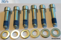 SGF - Schraubensatz M16 X 55 BI-10006